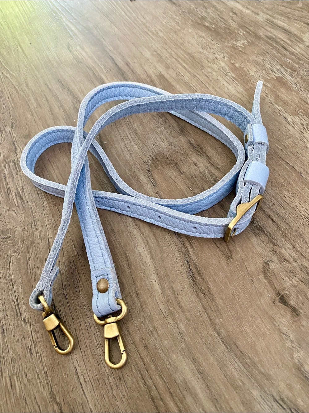 NEW PLG Skyway Leather Crossbody Strap with Brass Hardware